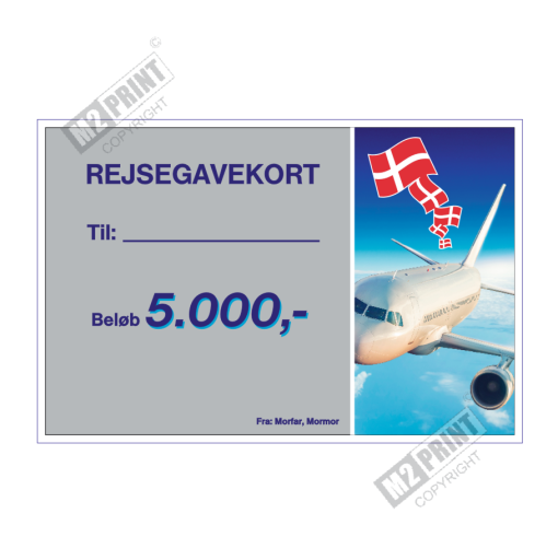 Rejsegavekort grå og blå fly bg m. fødselsdagsflag